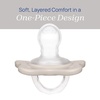 image:imageChicco Dual Soft Orthodontic Pacifier OnePiece Silicone 02m 2PackGreyUltramarine