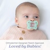 image:imageChicco Dual Soft Orthodontic Pacifier OnePiece Silicone 02m 2PackSeafoam