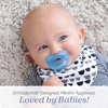 image:imageChicco PhysioForma Silicone Orthodontic Pacifier OnePiece 616m 2PackLight BlueGreen
