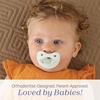 image:imageChicco PhysioForma Silicone Orthodontic Pacifier OnePiece 616m 2PackMint