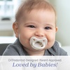 image:imageChicco PhysioForma Silicone Orthodontic Pacifier OnePiece 616m 2PackPearl Grey