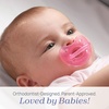 image:imageChicco PhysioForma Silicone Orthodontic Pacifier OnePiece 616m 2PackPink