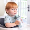 image:imageChicco Insulated FlipTop Straw Sippy Cup for Toddlers 12m 9oz 2PackCars  Checker