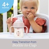 image:imageChicco Transition Training Sippy Cup Soft Silicone Spout 4m 7ozBlush